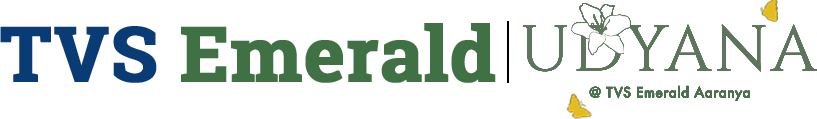 tvsemeraldudyana.site favicon